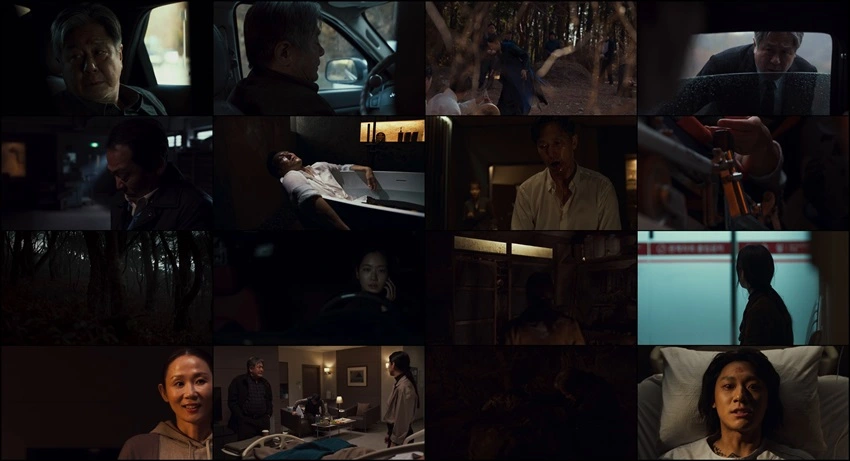 Exhuma | 2024 | Hindi-English-Korean | MulTi-Audio 480p 720p 1080p