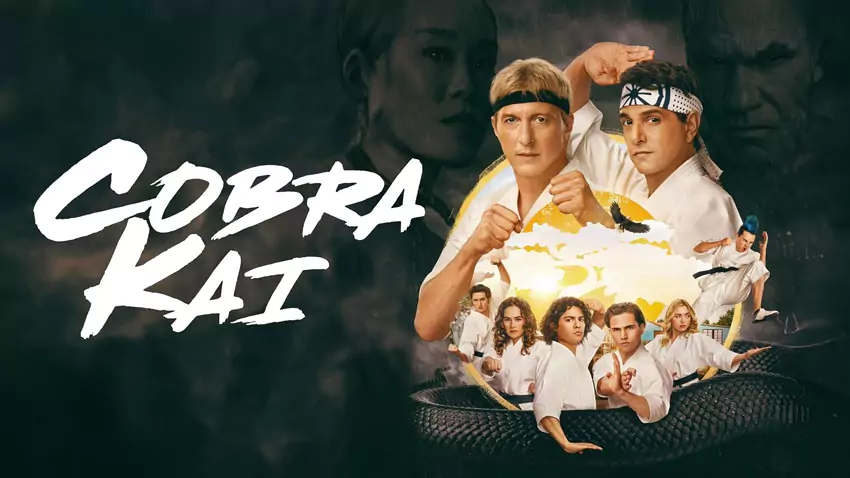 Download Cobra Kai | 2024-2025 | Season 6 | Dual Audio | Hindi-English | Netflix Original Web Series | 480p 720p 1080p